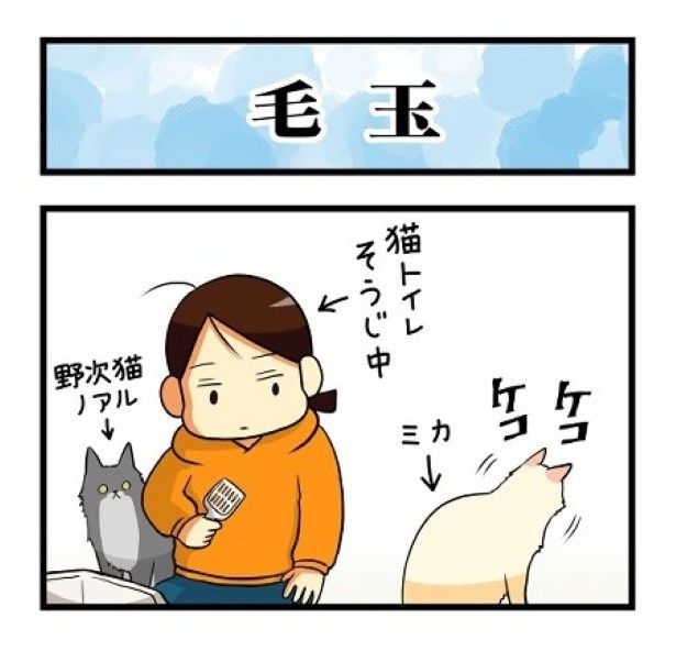 あ！吐く前触れの音が！猫飼いさんたちはこの音に敏感だ もちこ(@mogutchecho)