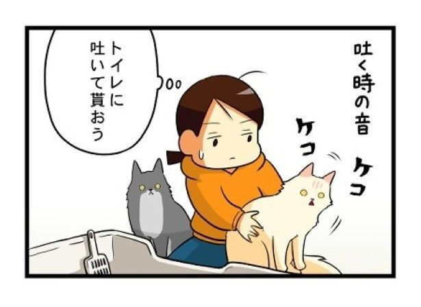 そっと優しくエスコートしてみたら… もちこ(@mogutchecho)