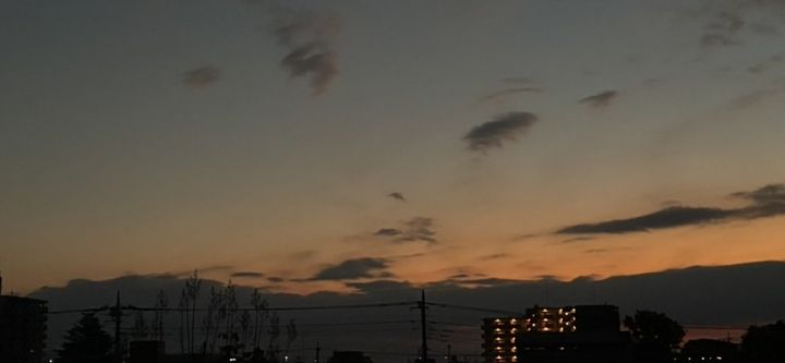 寒くなってきて逆にアクティブな11月【FUDGENA SPECIALIST：真雪の日常、古着日記 vol.39】