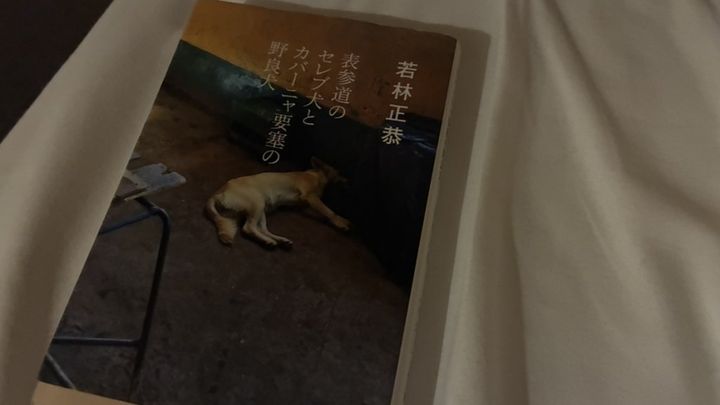 寒くなってきて逆にアクティブな11月【FUDGENA SPECIALIST：真雪の日常、古着日記 vol.39】