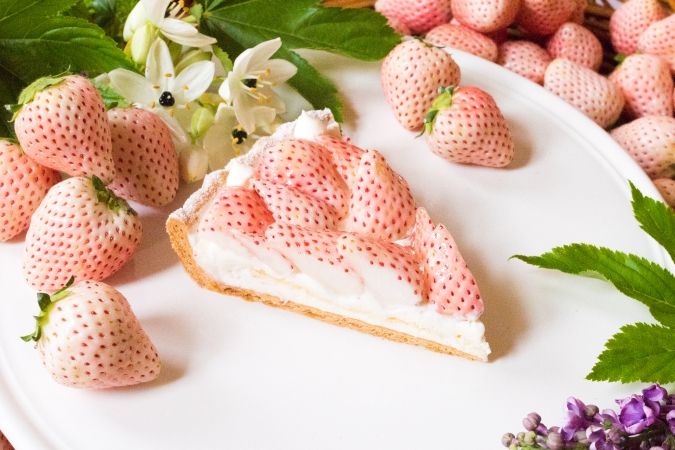 キルフェボン 「特選 白イチゴ “初恋の香り”のタルト」