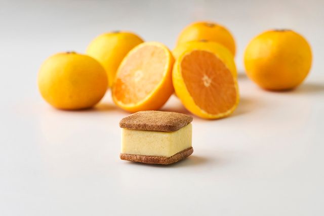 まるごと有田みかん(季節限定・和歌山フレーバー) 320円（税込）