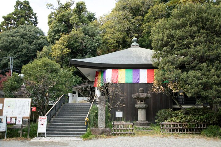 12月半ばまで紅葉が見頃♪気軽に小旅行気分が味わえる「深大寺」へ
