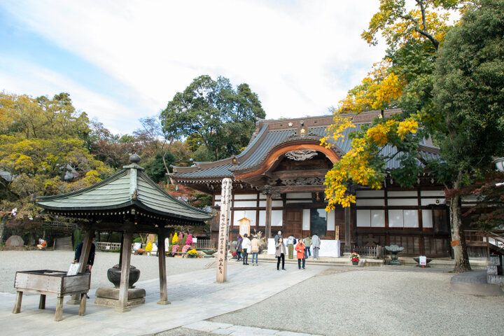 12月半ばまで紅葉が見頃♪気軽に小旅行気分が味わえる「深大寺」へ