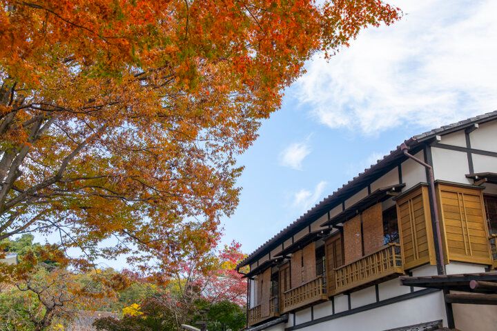 12月半ばまで紅葉が見頃♪気軽に小旅行気分が味わえる「深大寺」へ