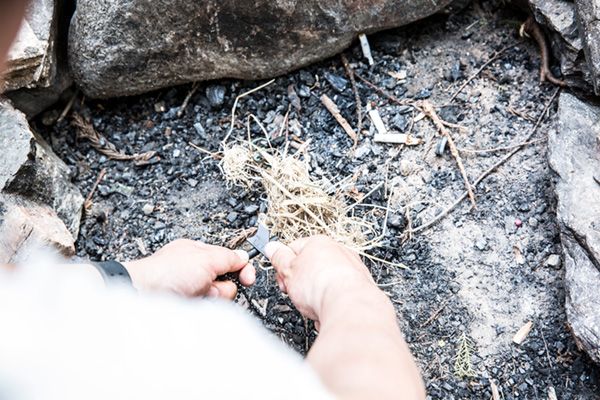 ブッシュクラフトって結局なに？文明ゼロでも生きられる“神スキル”が魅力的すぎる！