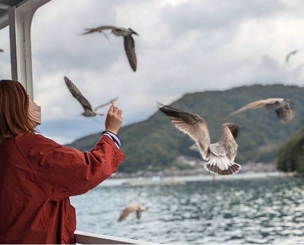 船と並走するカモメに釘付けに(※こちらは伊根巡り遊覧船内の様子。天橋立観光船と同様にエサやりができる)