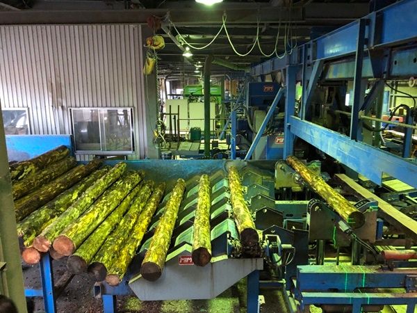 三井ガーデンホテルズなど39施設で参加型チャリティイベント！オーナメントに願いを