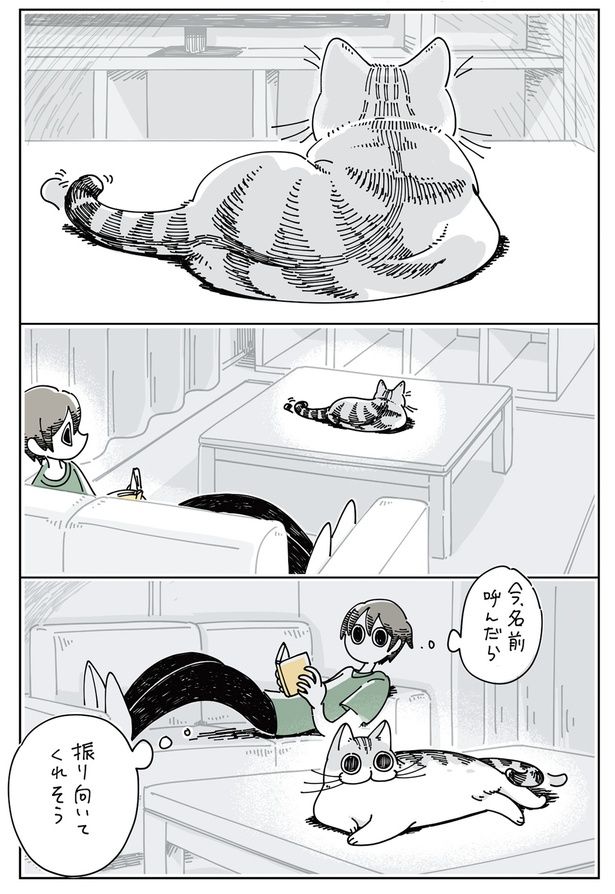 振り向いてくれるかな… （C）キュルZ／KADOKAWA