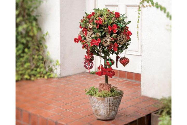 鉢植えを使って簡単＆華やか！【ゲッケイジュのクリスマスツリー】料理にも活躍する香り高いハーブ