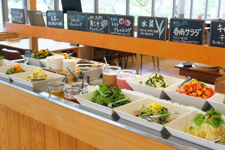 色とりどりの野菜が並ぶサラダバー