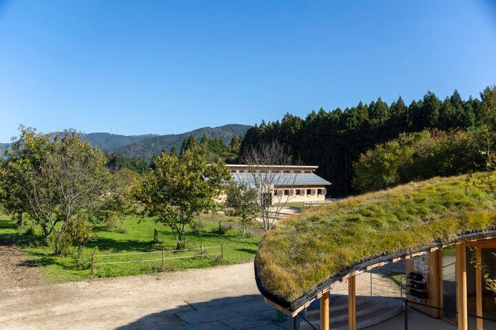 滋賀・高島の観光牧場＆カフェ「メタセコイアと馬の森」で、馬とふれあう癒やしの休日