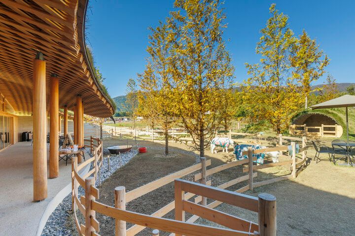 滋賀・高島の観光牧場＆カフェ「メタセコイアと馬の森」で、馬とふれあう癒やしの休日