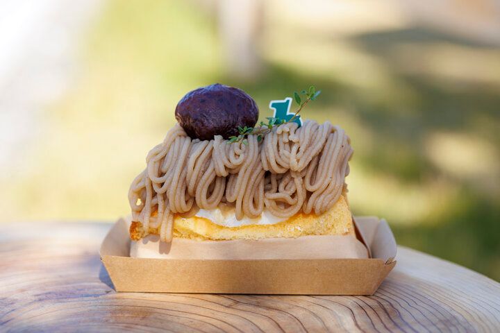 滋賀・高島の観光牧場＆カフェ「メタセコイアと馬の森」で、馬とふれあう癒やしの休日