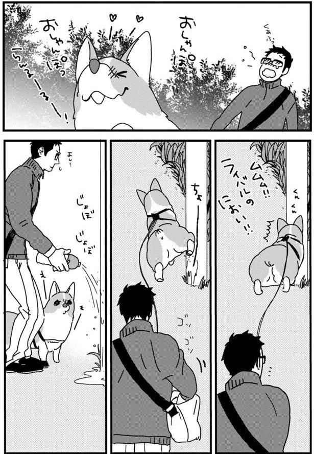 さんぽ前半 (C)らくだ／KADOKAWA