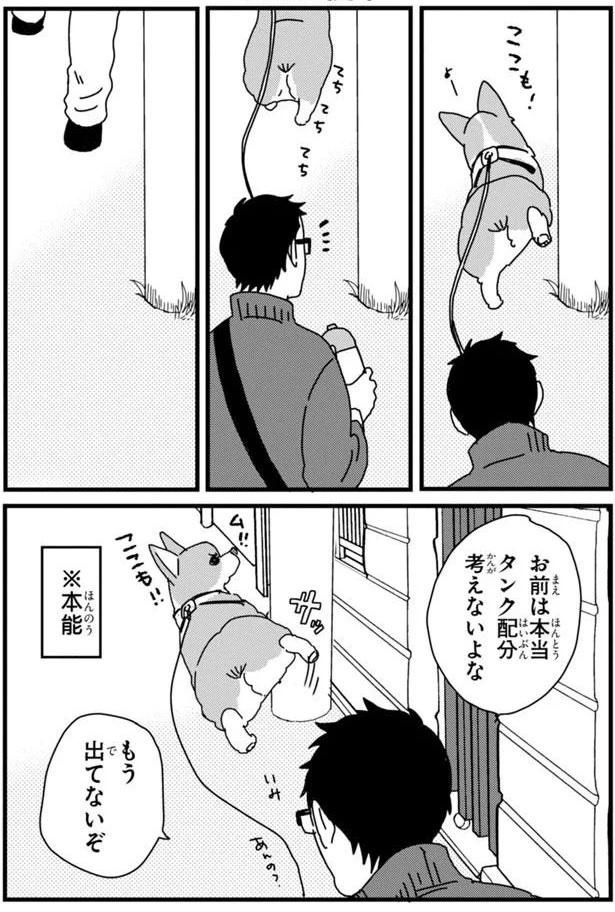 さんぽ後半 (C)らくだ／KADOKAWA