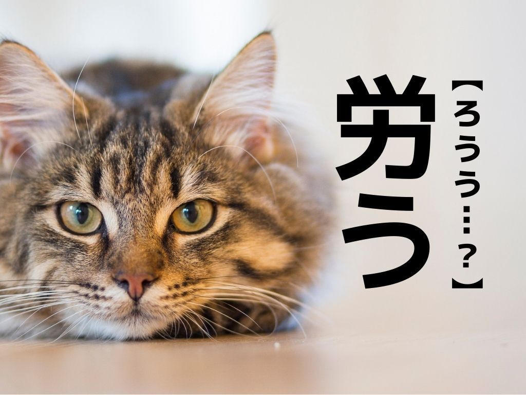 【労う】なんて読む？「ろうう」ではありませんよ！【読めそうで読めない漢字クイズ】 | TRILL【トリル】