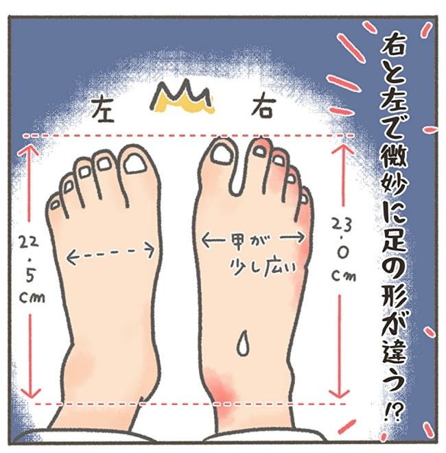 くそ地味系40代独身女子／大日野カルコ