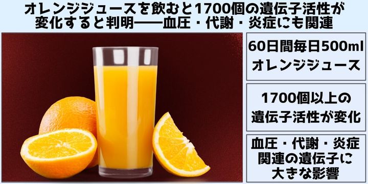 オレンジジュースを飲むと1700個の遺伝子活性が変化すると判明――血圧・代謝・炎症にも関連