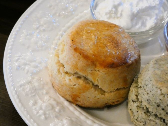 TEA ROOM flower bird スコーン プレーン