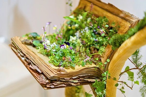 「日本フラワーデザイン大賞2025」の作品を無料で鑑賞できる一般公開開始！特典も用意