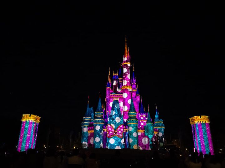 東京ディズニーランド“ミニーのファンダーランド”ファンダーナイト