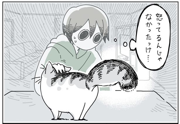 怒ってる…？ （C）キュルZ／KADOKAWA