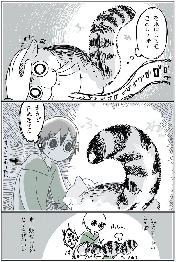 まるでたぬきさん （C）キュルZ／KADOKAWA