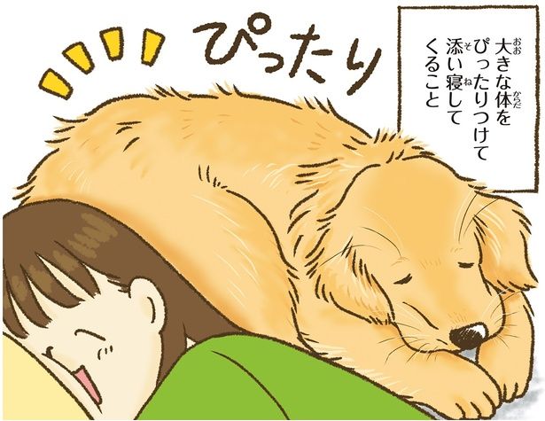 大きな体をぴったりくっつけて… （C）かんち（8kanchi8）／KADOKAWA