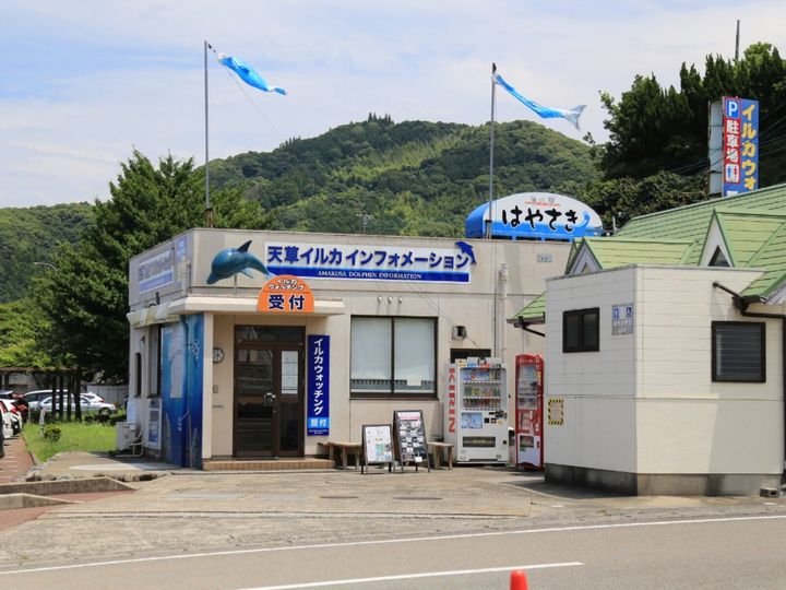 All About ニュース編集部が全国219人を対象に実施した道の駅に関するアンケートの調査結果から、子連れで行きたいと思う「熊本県の道の駅」ランキングを発表！ 2位「天草市イルカセンター」を抑えた1位は？