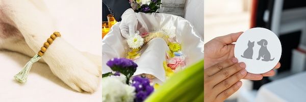 おみおくりペット火葬が時間に追われない特別な「グランセレモニープラン」を提供開始