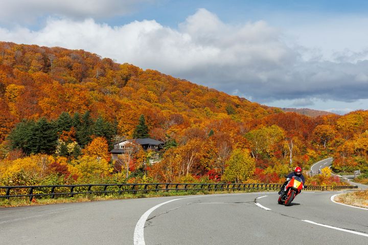 公道でこそ真価を発揮する｜真冬の八幡平で試す「ミシュラン POWER 6」