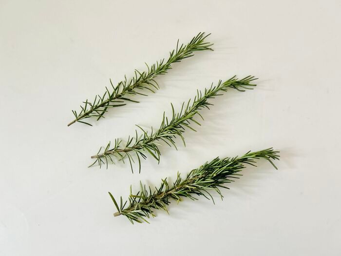 誰でも手軽に作れる『シンプルリース』。クリスマスギフトの飾りにぴったりなミニサイズです♡