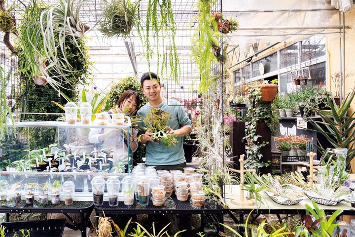第2ハウスにブースを構える〈ふたむらプランツ〉
