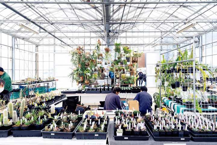 2日間にわたり開催された『樹祭』