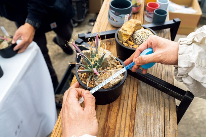 自前のメジャーを取り出す森敬太さん