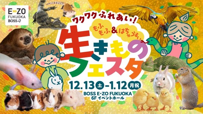 ワクワクふれあい！もふもふ＆はちゅうるい 生きものフェスタ