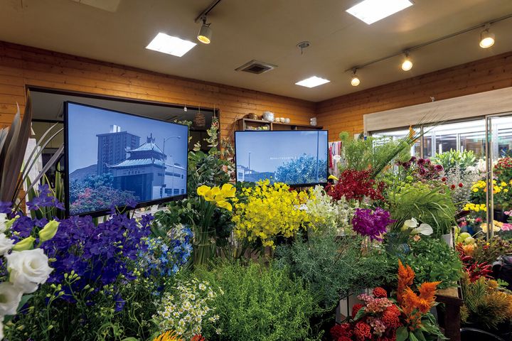 アーティスト・青柳菜摘の映像インスタレーション作品《方船》