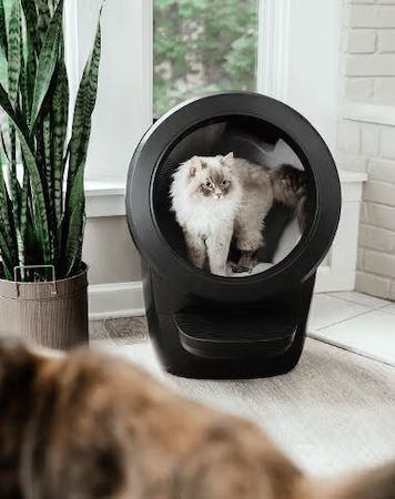 猫と飼い主の毎日を快適に！自動クリーニングトイレロボット「Litter-Robot 4」発売