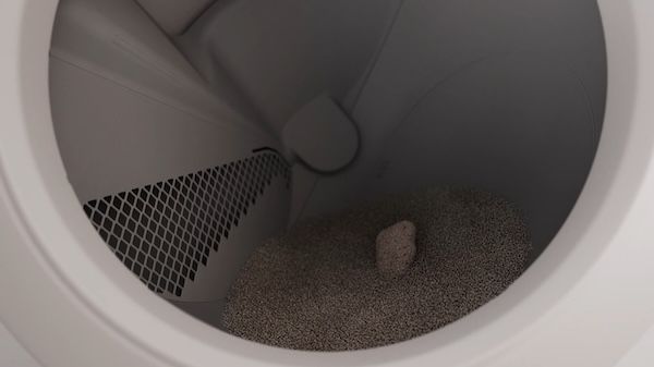 猫と飼い主の毎日を快適に！自動クリーニングトイレロボット「Litter-Robot 4」発売