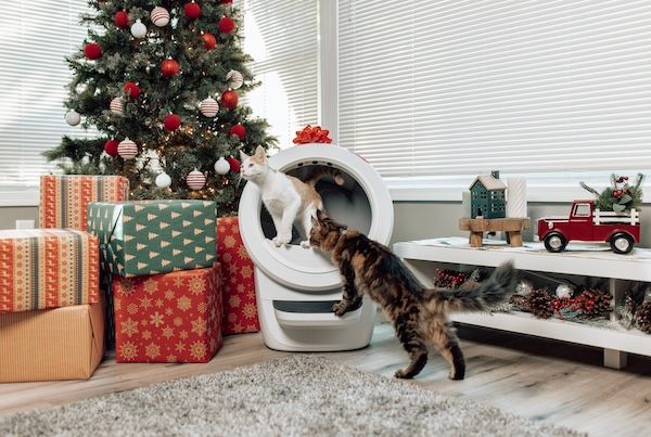 猫と飼い主の毎日を快適に！自動クリーニングトイレロボット「Litter-Robot 4」発売