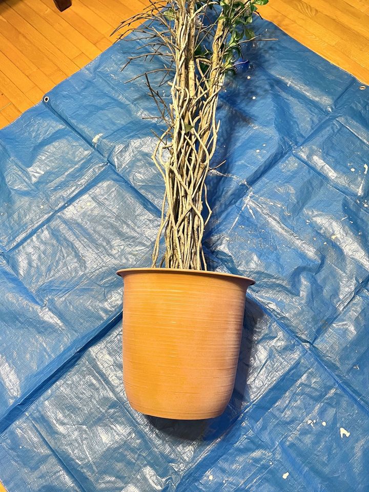 まずはキレイに洗浄