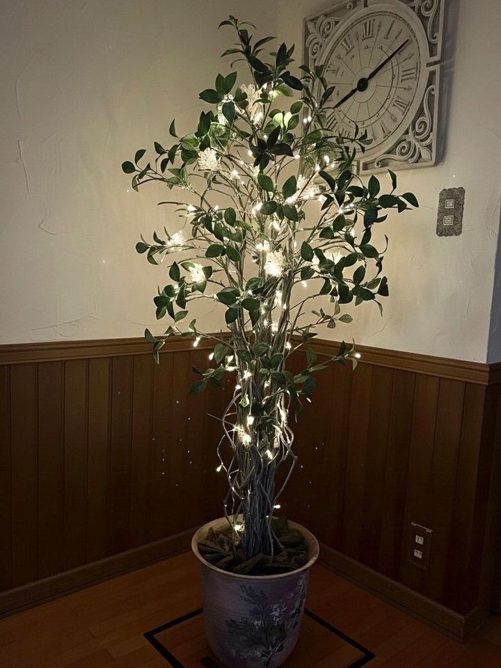 クリスマスのライトを巻き付けて、シンプルツリー！