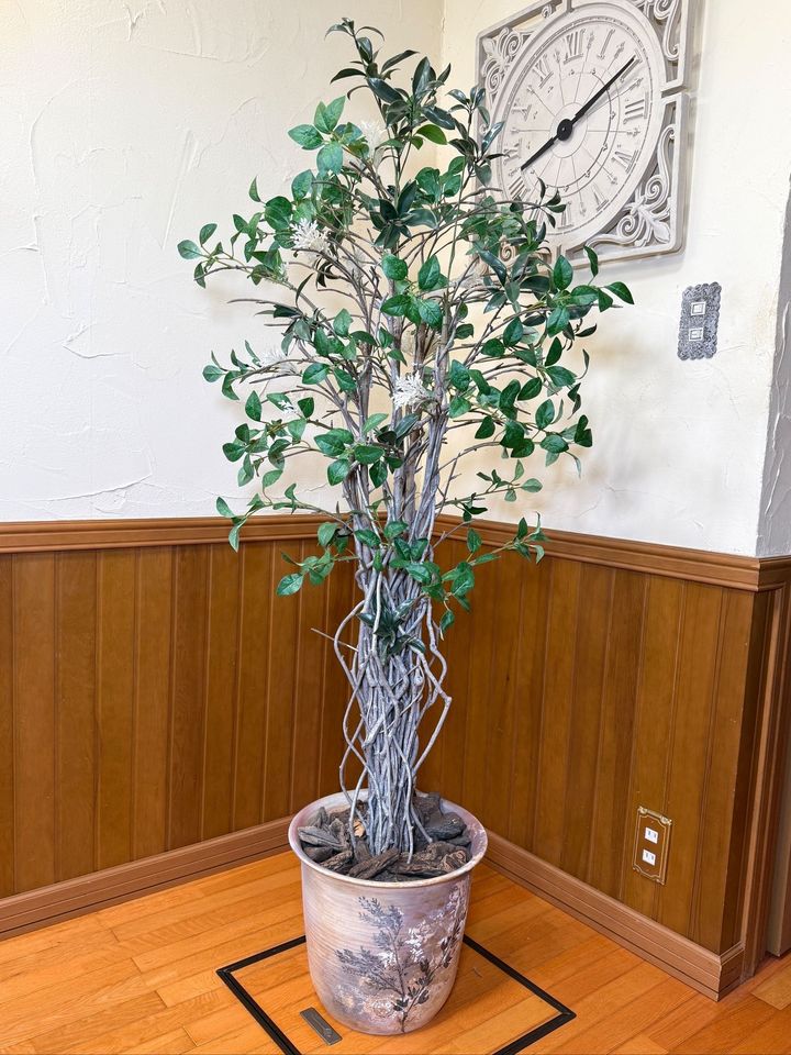 いい感じのボリュームに再生