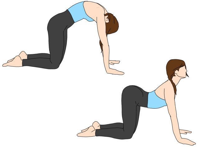 背骨の曲げ伸ばしストレッチ