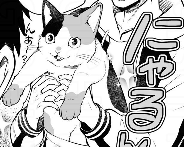 これは…っ!!多少値が張っても吸いたいかも!! 高岸かも(@kamotakagishi)