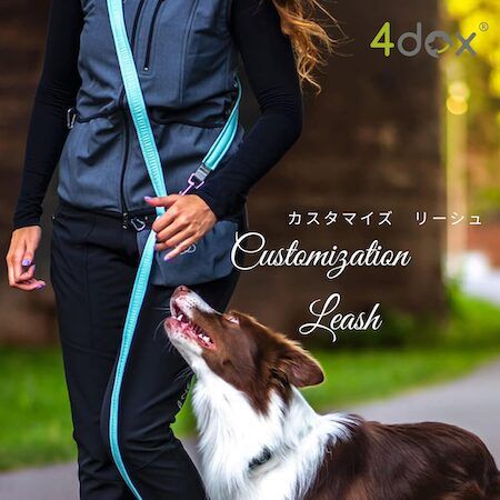 愛犬への特別なギフトに「4dox」の“世界にひとつのカスタムシリーズ”を贈ろう