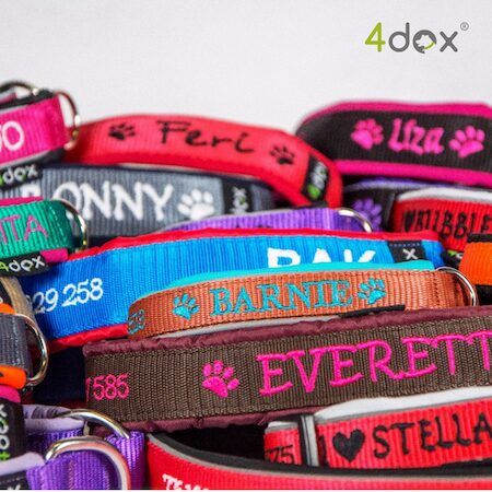 愛犬への特別なギフトに「4dox」の“世界にひとつのカスタムシリーズ”を贈ろう