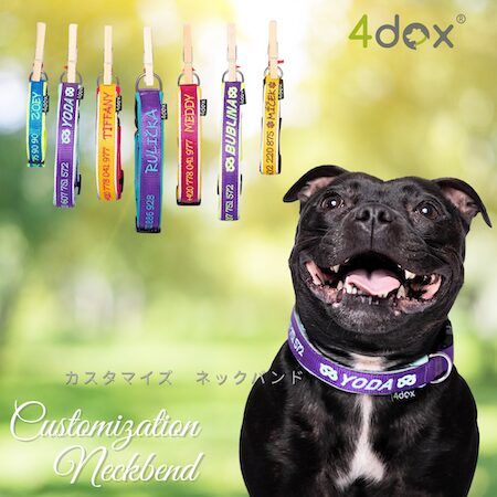 愛犬への特別なギフトに「4dox」の“世界にひとつのカスタムシリーズ”を贈ろう