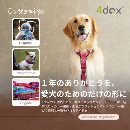 愛犬への特別なギフトに「4dox」の“世界にひとつのカスタムシリーズ”を贈ろう